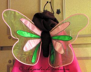 papillon-valentine.jpg