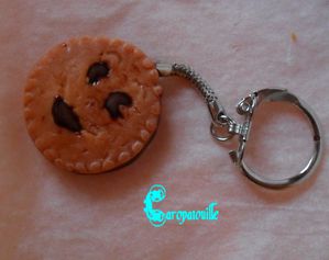 Biscuit au chocolat