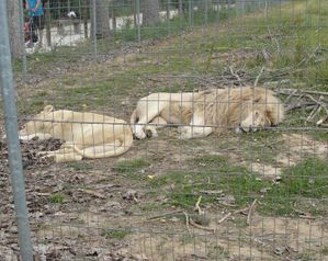 2010.0722.-049.jpg
