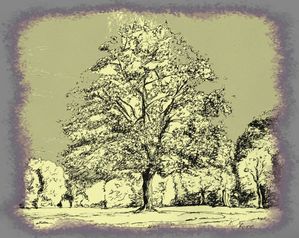 OCTOBRE 2 VAL photo ancienne