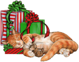 chat noel