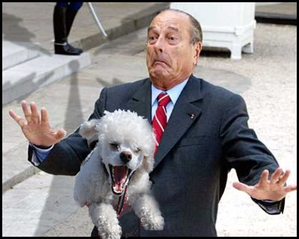 Rencontre canine lyon