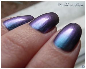 Aqua violet 6