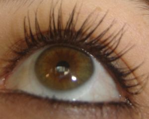 DSC00427