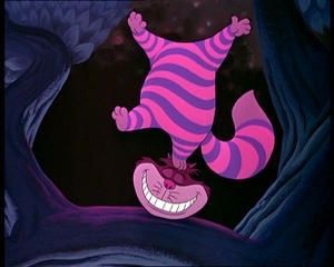 Alice chat