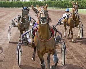 hippodrome-amiens-090408