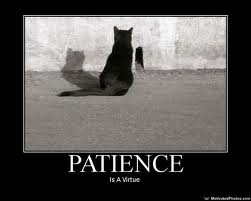 patience2