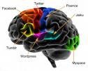Cerveau en couleur