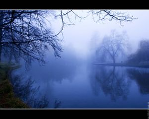 brouillard-sur-etang-02