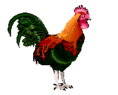coq-gifs-animes-187168[1]