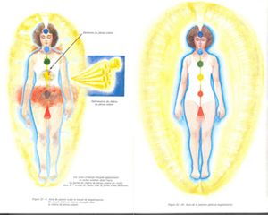 magnetisation_barbara_ann_brennan.jpg