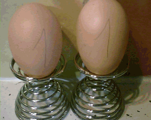 oeufs-de-l-an-n_oeuf-2011.gif