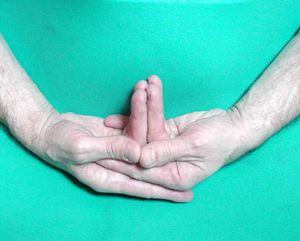 Linga-mudra2.jpg