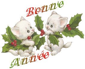 bonne-annee-chatsz.jpg