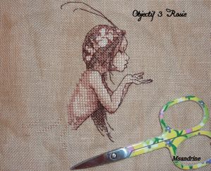 Objectif-3b-Rosie-copie-1.jpg