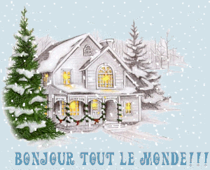 bonne année2