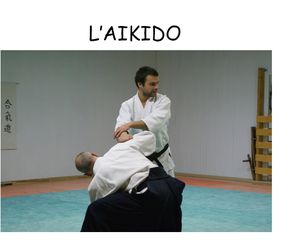 aikido-1.jpg
