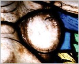 oeil-adam