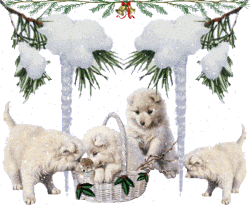chiens-neige-gif.gif