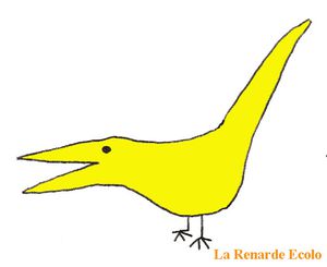 oiseau couleur jaune détouré adobé renarde