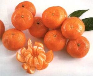 clementine.jpg
