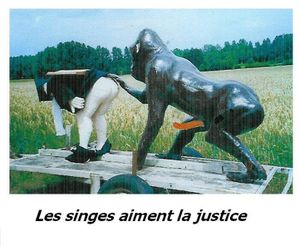Les singes aiment la justice