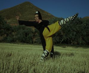 Clases de Kung Fu Shaolin - Escuela Kung fu - Madrid