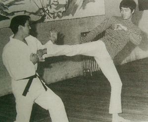 Bruce-Lee-Jeet-Kun-Do-T.II-5.JPG