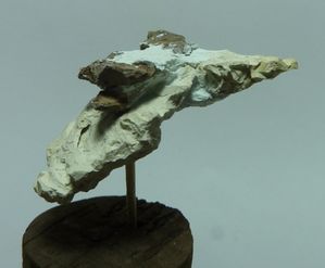 socle roi des morts 008