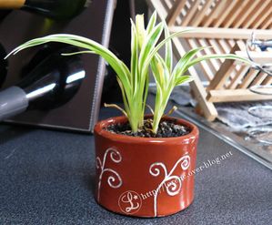 pt pot
