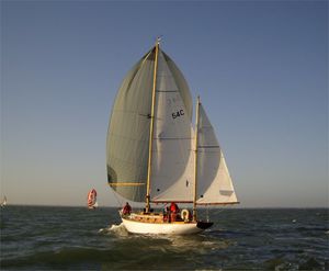 2009 10 17 Charente Pangur Ban 3