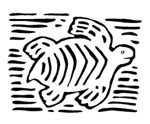 tortue16