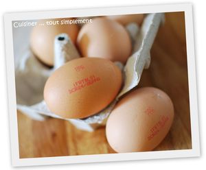 dossier-oeuf1.jpg