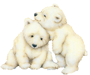 nounours calin