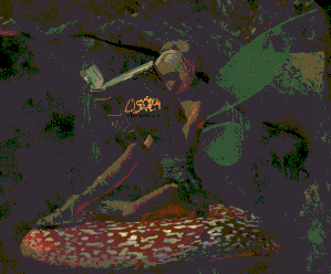 http://img.over-blog.com/300x248/5/07/64/16/faereading.gif