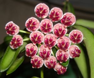 DSCN5831.JPG
