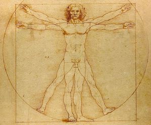 Léonard de Vinci. Anatomie
