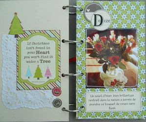 page12