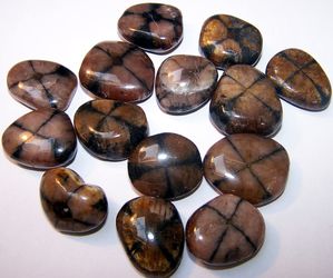 Chiastolites roulées