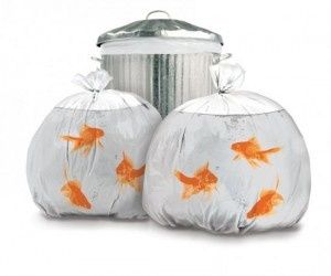 sac-poubelles-300x250.jpg