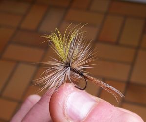 mouches-seches-044.jpg