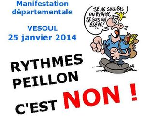 Manif-25-janvier-2014-Peillon-c-est-NON.JPG