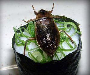 sushis_insectes4.jpg