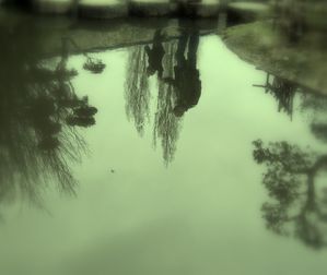 Reflet-dans-l-eau.jpg