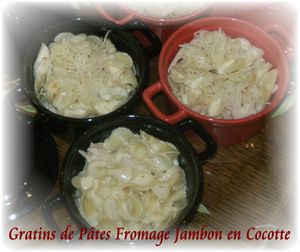 Gratins de pâtes 1