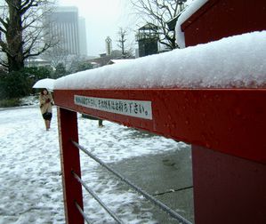 neige tokyo 12