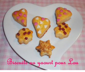 BISCUITS-AU-YAOURT-pour-Lou.jpg.png
