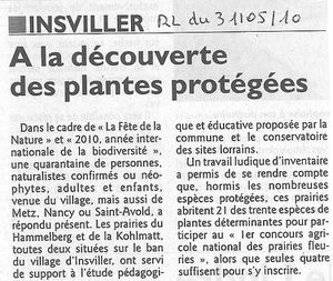 prairie-fleurie-insviller