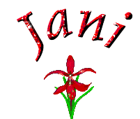 jani orchidee glitter big[1]