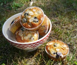 Muffins mûres oranges Riri
